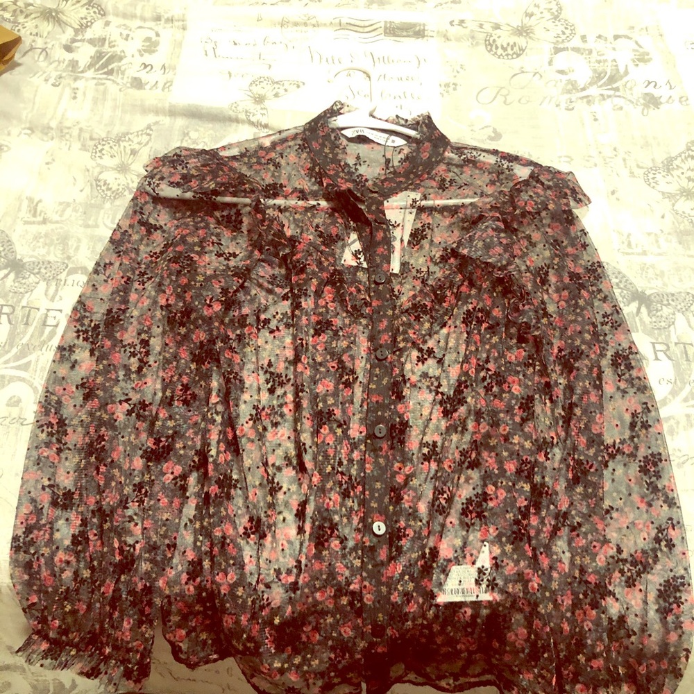 Zara Tulle Shirt!